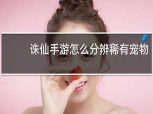 诛仙手游怎么分辨稀有宠物