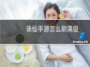 诛仙手游怎么刷满级