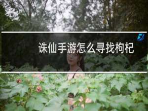 诛仙手游怎么寻找枸杞