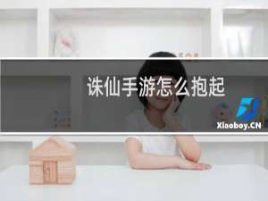 诛仙手游怎么抱起