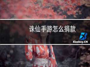 诛仙手游怎么捐款