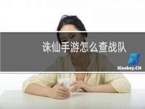 诛仙手游怎么查战队