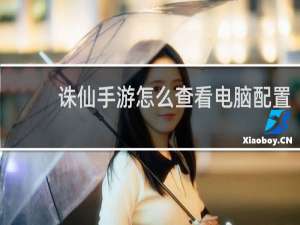 诛仙手游怎么查看电脑配置