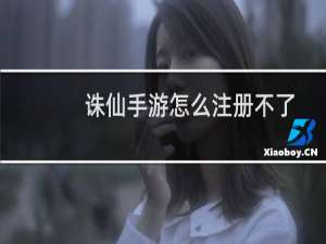 诛仙手游怎么注册不了