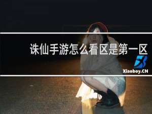诛仙手游怎么看区是第一区