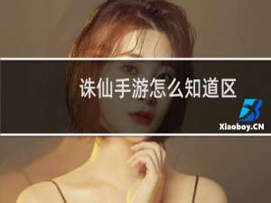 诛仙手游怎么知道区