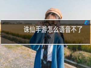 诛仙手游怎么语音不了