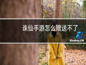 诛仙手游怎么赠送不了