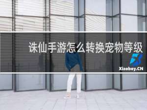 诛仙手游怎么转换宠物等级