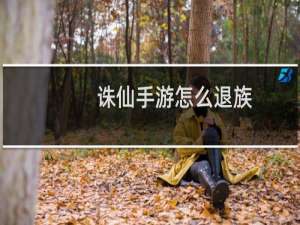 诛仙手游怎么退族