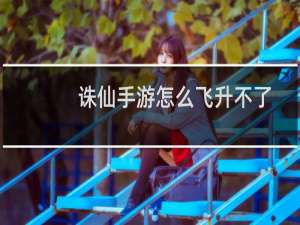诛仙手游怎么飞升不了
