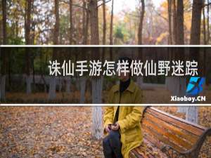 诛仙手游怎样做仙野迷踪