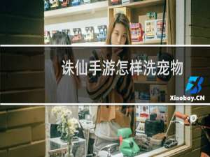 诛仙手游怎样洗宠物