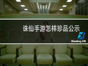 诛仙手游怎样珍品公示