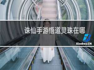 诛仙手游悟道灵珠在哪