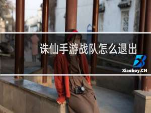 诛仙手游战队怎么退出