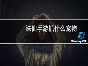 诛仙手游抓什么宠物