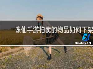 诛仙手游拍卖的物品如何下架