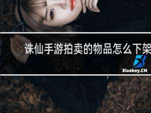 诛仙手游拍卖的物品怎么下架