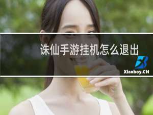 诛仙手游挂机怎么退出
