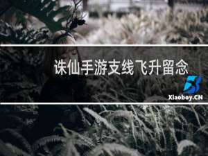 诛仙手游支线飞升留念