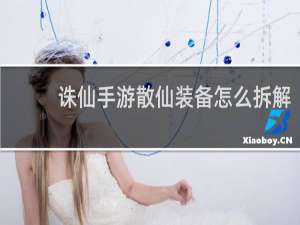 诛仙手游散仙装备怎么拆解