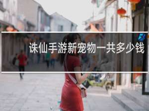 诛仙手游新宠物一共多少钱