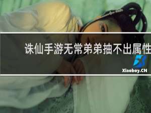 诛仙手游无常弟弟抽不出属性