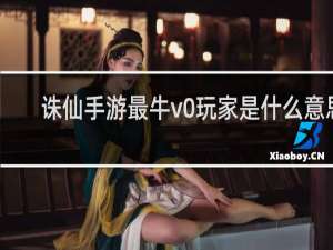 诛仙手游最牛v0玩家是什么意思