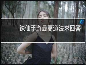 诛仙手游最高道法求回答