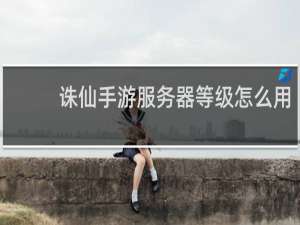 诛仙手游服务器等级怎么用