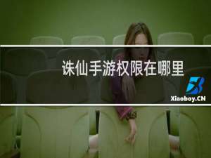 诛仙手游权限在哪里