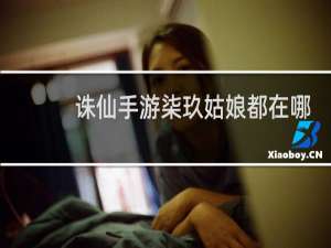 诛仙手游柒玖姑娘都在哪