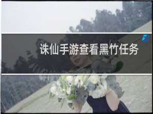 诛仙手游查看黑竹任务