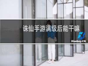 诛仙手游满级后能干嘛