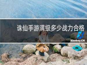 诛仙手游满级多少战力合格