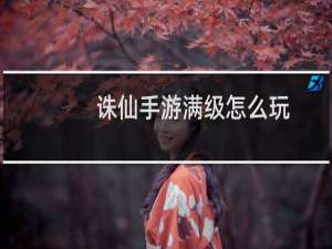 诛仙手游满级怎么玩