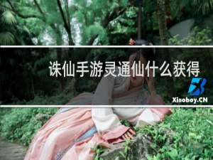 诛仙手游灵通仙什么获得