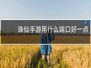 诛仙手游用什么端口好一点