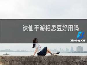 诛仙手游相思豆好用吗