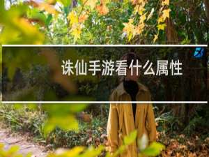 诛仙手游看什么属性