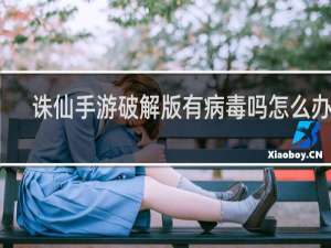 诛仙手游破解版有病毒吗怎么办呀