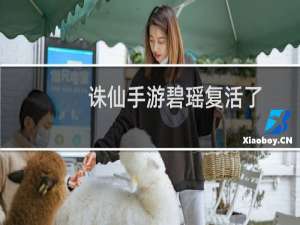 诛仙手游碧瑶复活了