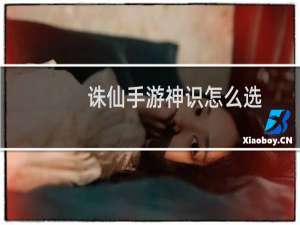 诛仙手游神识怎么选