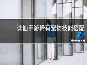 诛仙手游稀有宠物技能搭配