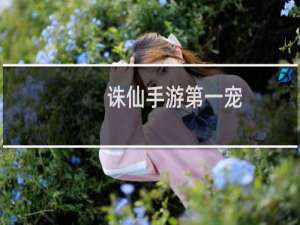 诛仙手游第一宠