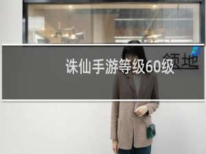 诛仙手游等级60级