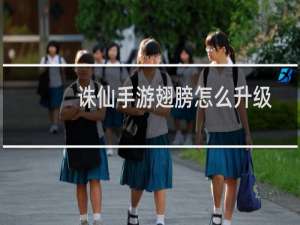 诛仙手游翅膀怎么升级