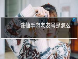 诛仙手游老友号是怎么