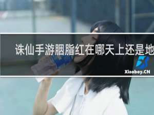诛仙手游胭脂红在哪天上还是地下